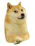 Doge